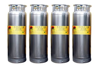 供應2.3兆帕175 195 210l杜瓦瓶 工業瓶生產廠家